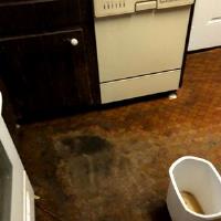 Water Damage Restoration and Repair Suffolk County image 2